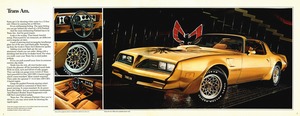 1978 Pontiac Firebird (Cdn)-02-03.jpg